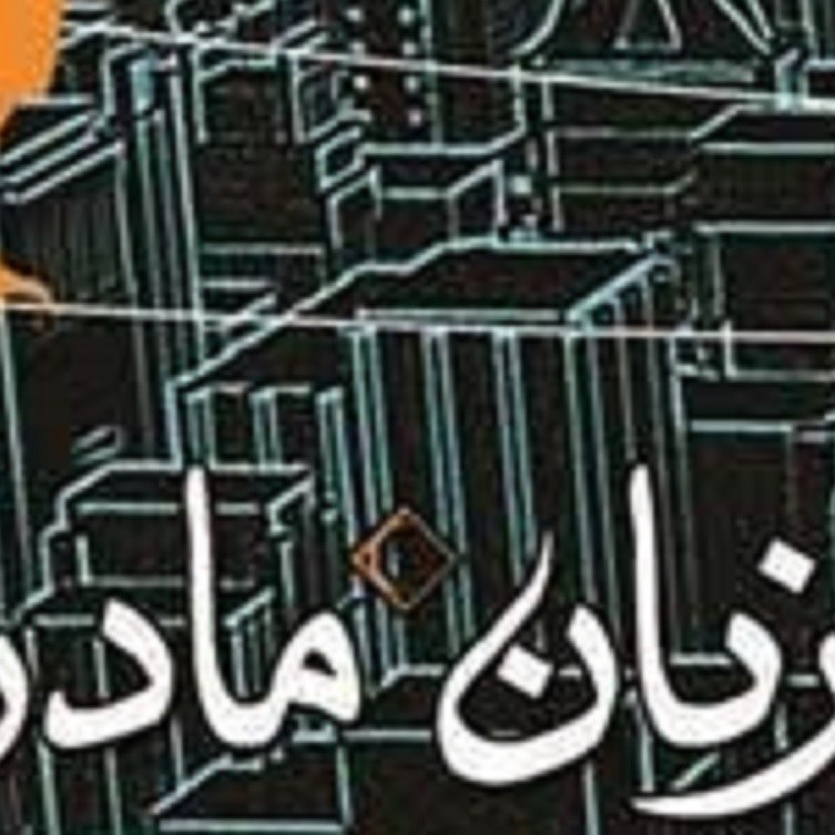کتاب به زبان مادری ( علی اصغر شیری )