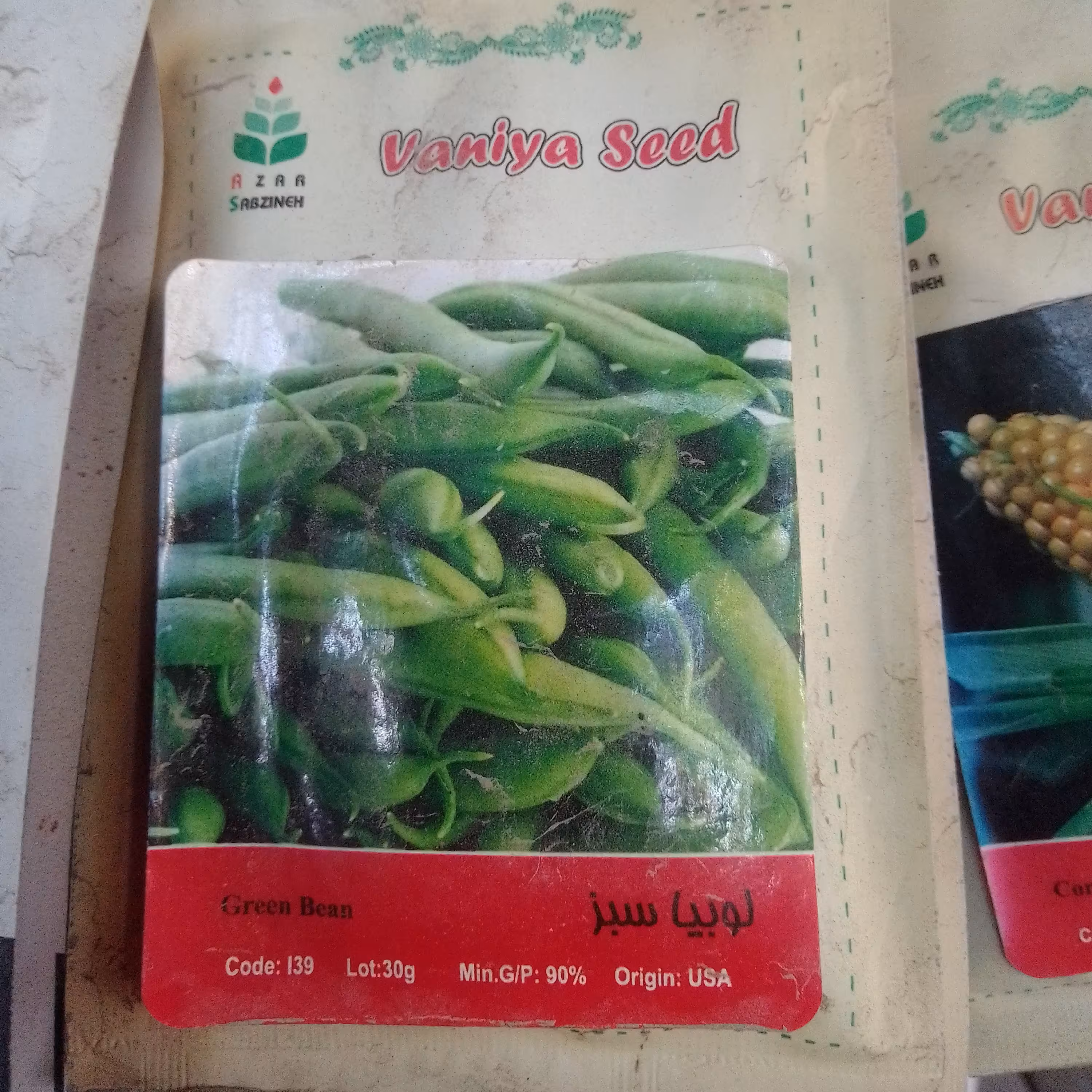 بذر لوبیا سبز