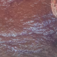 رب آلو (ترشی سیاه آلو)