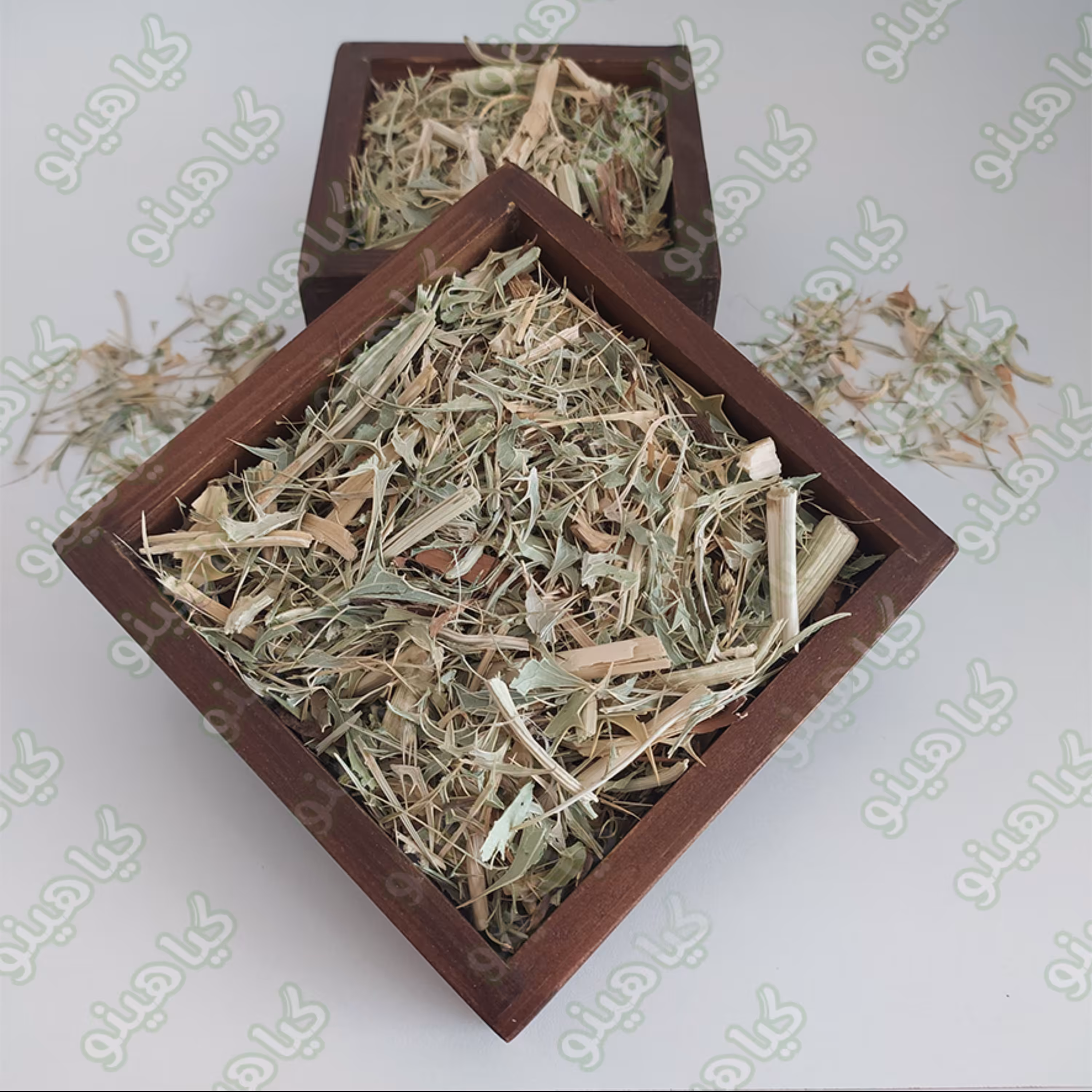 بوقناق ( باباخازن ) یک کیلویی گیاهینو - پرفروش ترین بوقناق خشک باسلام