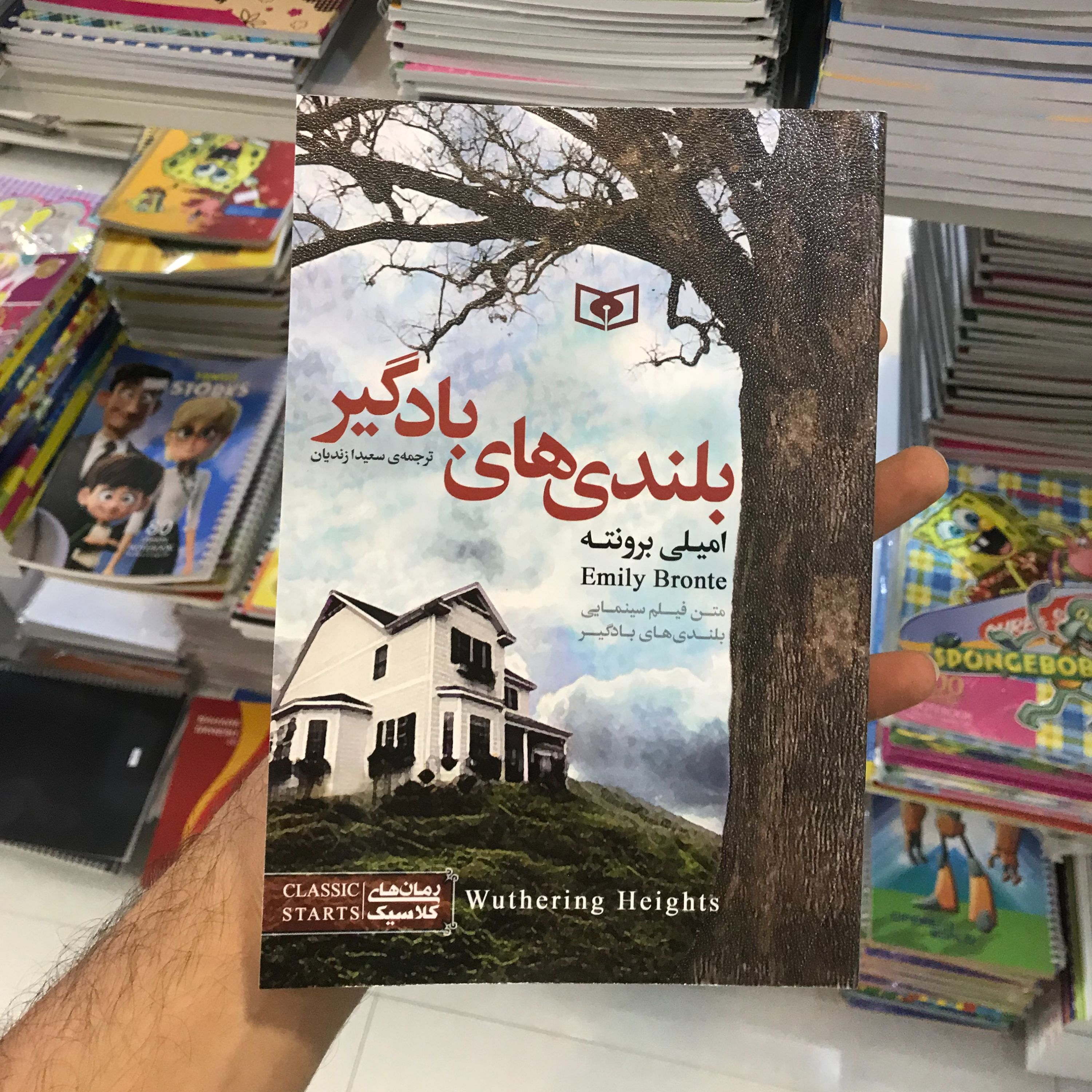 کتاب رمان بلندی های بادگیر