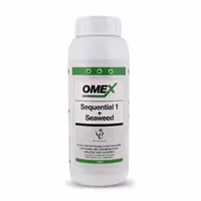 کود سکوئنشیال1   جلبک امکس