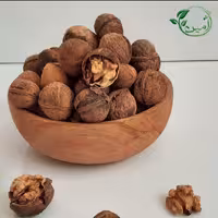 گردو محلی  منطقه تویسرکان و کنگاور