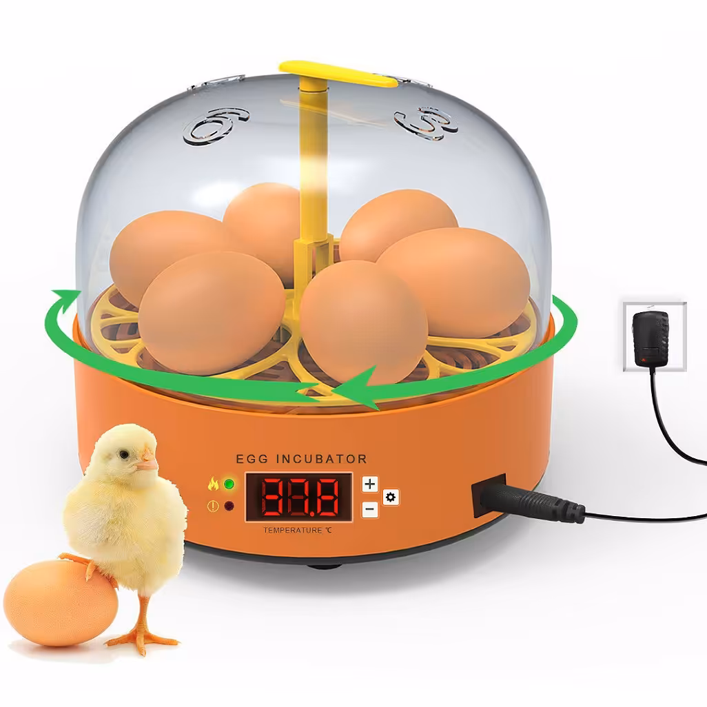 دستگاه جوجه کشی شش تایی فول اتومات کنترل دما رطوبت  چرخش اتومات