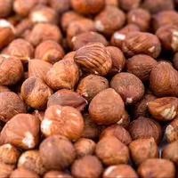 مغز فندق 1 کیلویی محصول امسال 1402