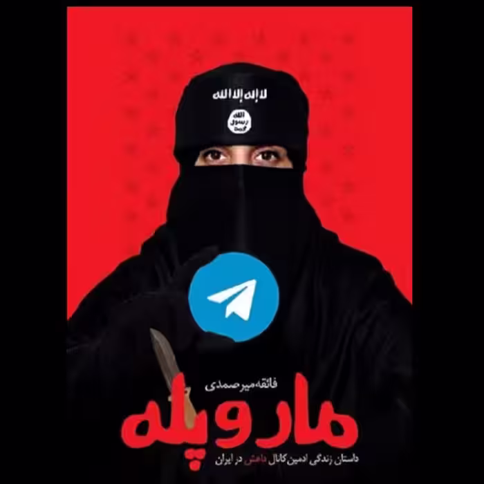 کتاب مار و پله