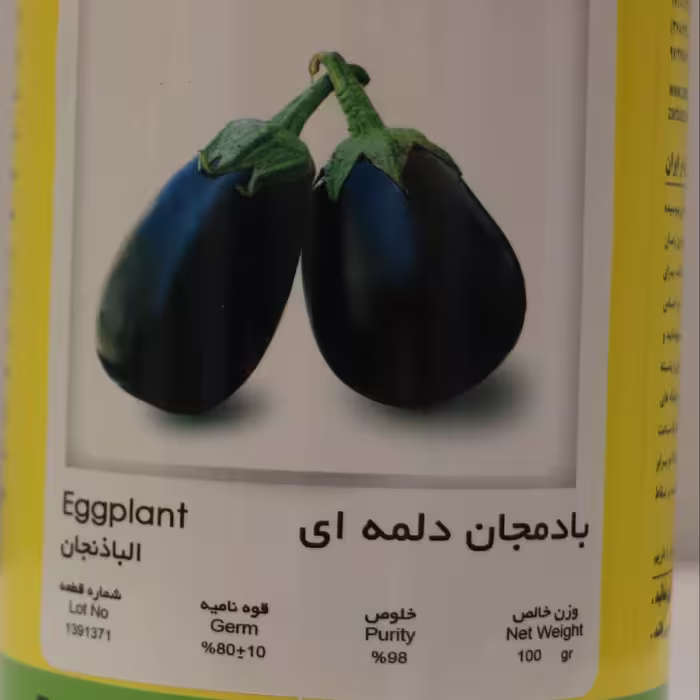 بذر بادمجان دلمه ای