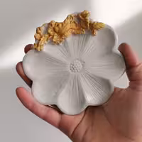 هفت سین صدفی