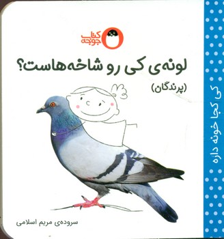 کتاب لونه کی رو شاخه هاست؟
