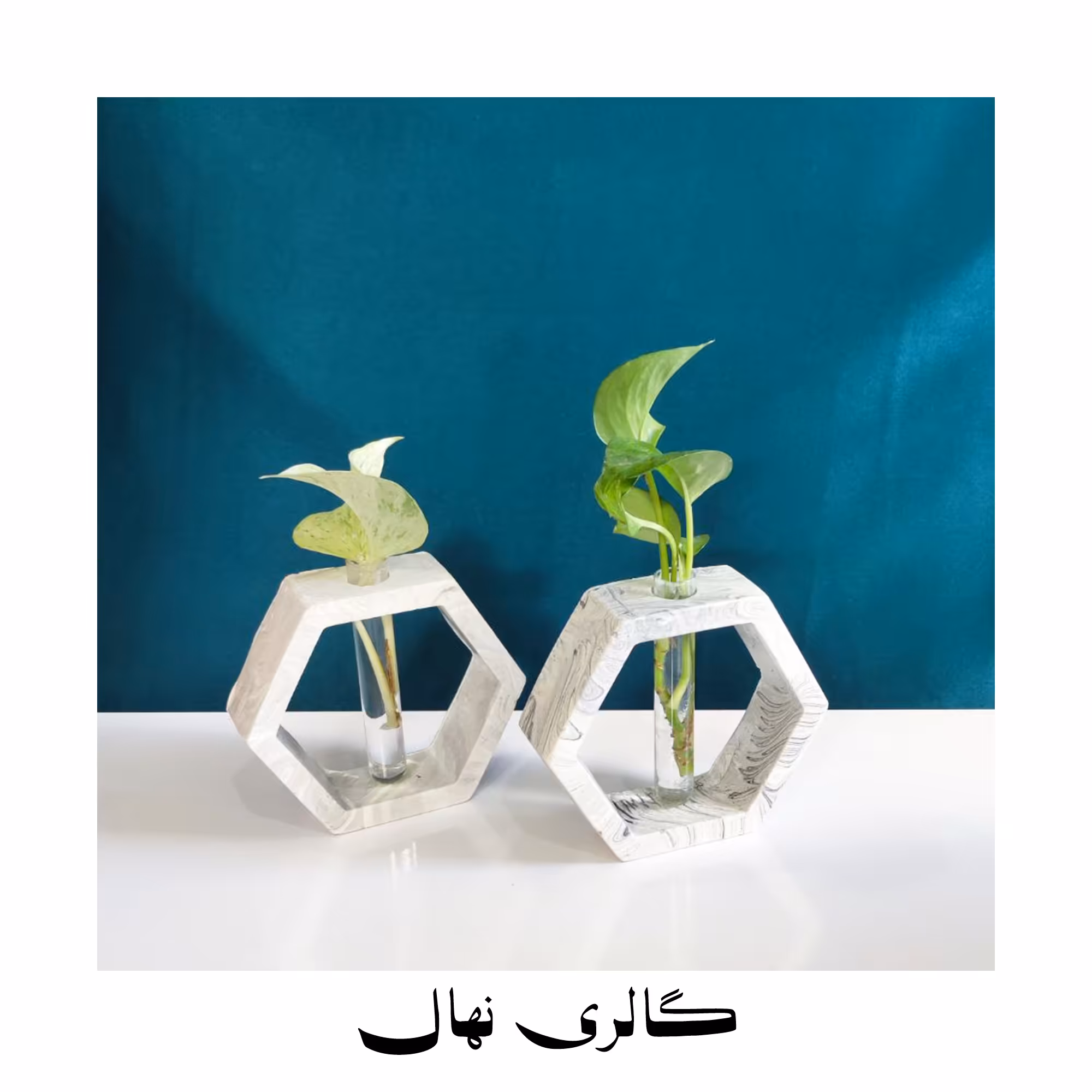 گلدان شش ضلعی 