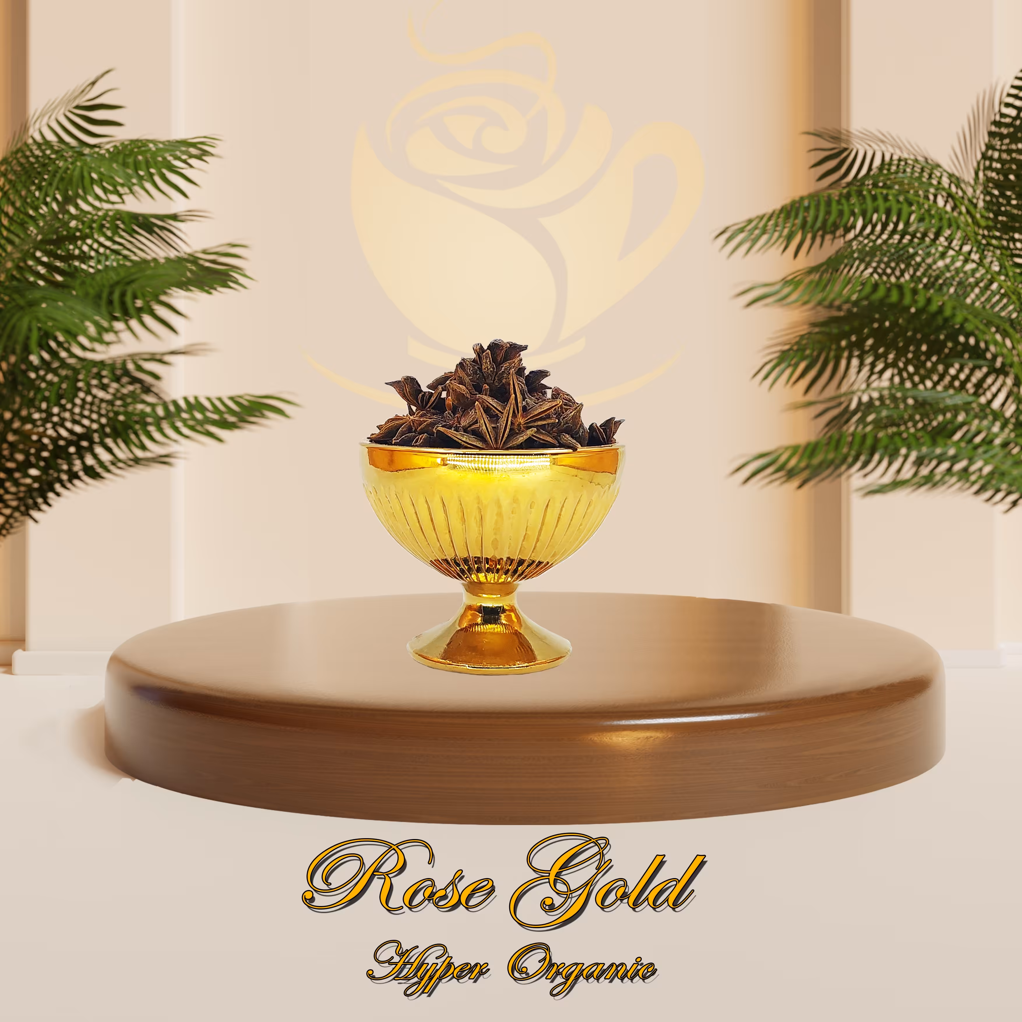 بادیان ستاره ای - بادیان ختایی - انیسون ستاره ای- انیسون بری درجه یک (100گرم)