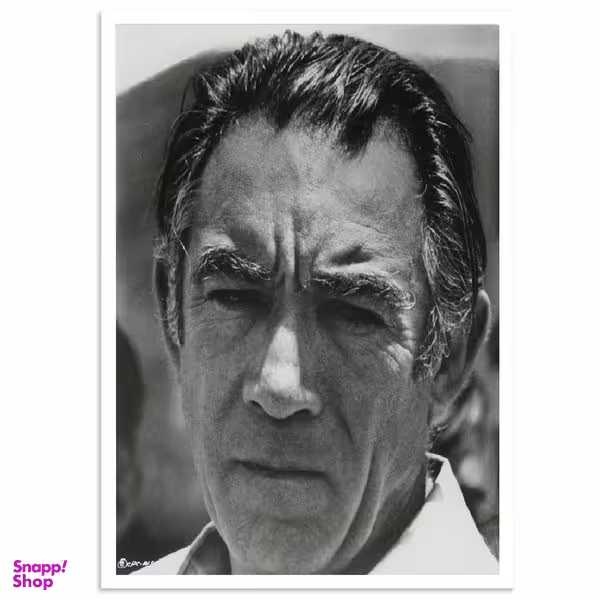 تابلو بکلیت طرح آنتونی کویین مدل W-14171