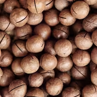 ماکادمیا فندق استرالیایی با عطر و طعم وانیل 200 هزار تومان