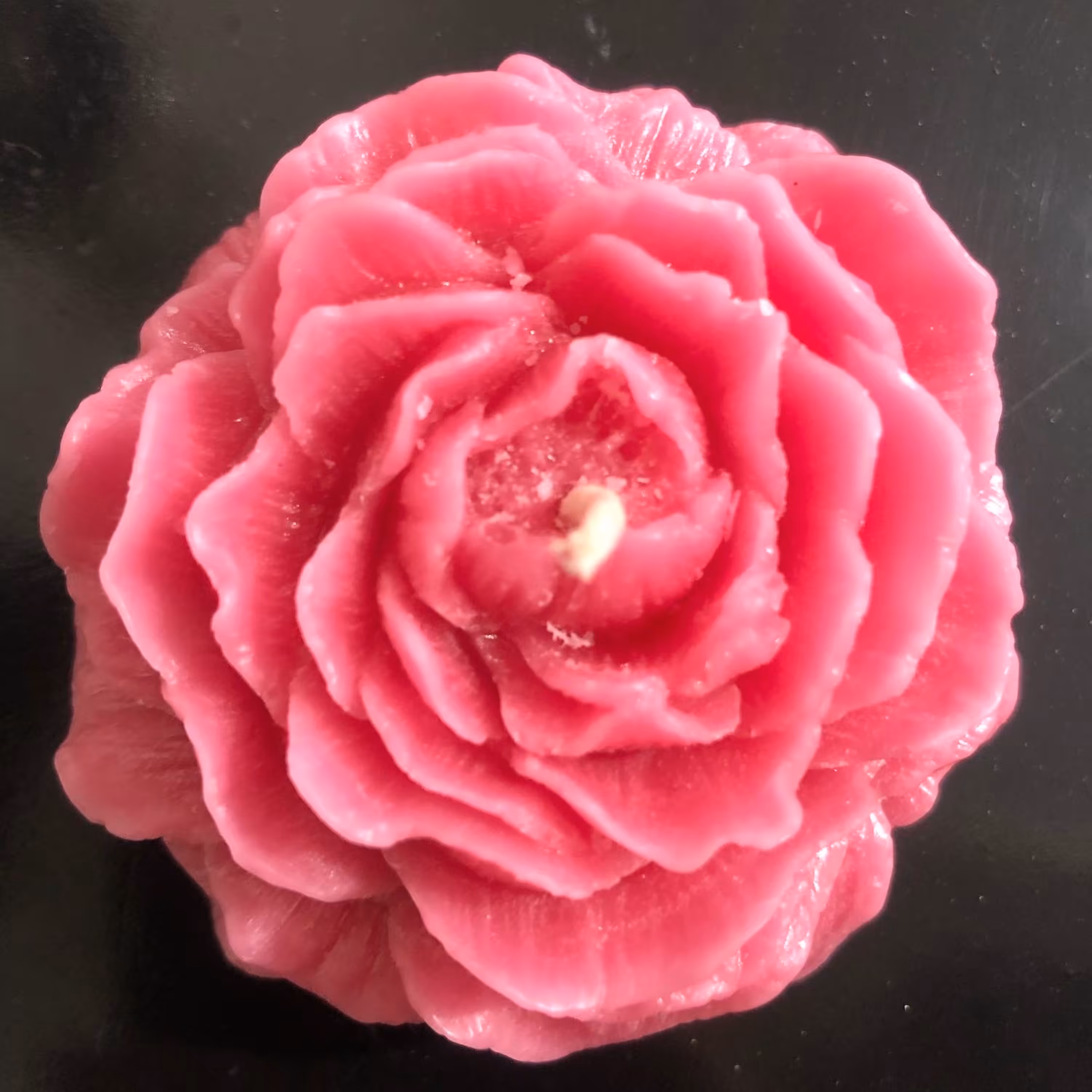 شمع گل آلاله با رنگ صورتی- طول8 و ارتفاع3