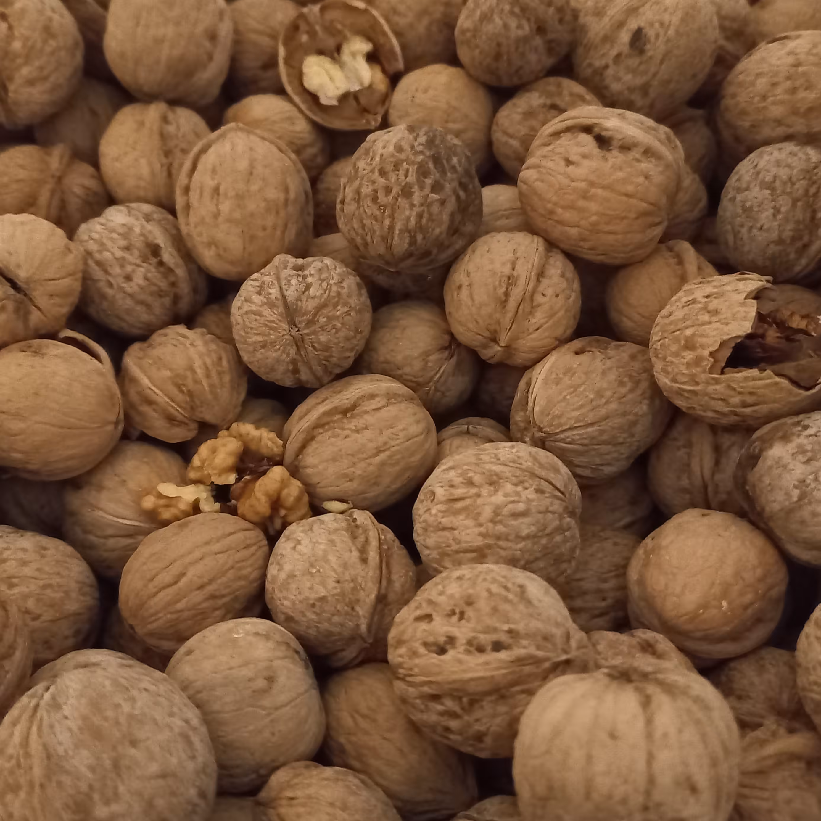 گردو سامان محصول شهریور 1400 وزن خالص 900 گرم