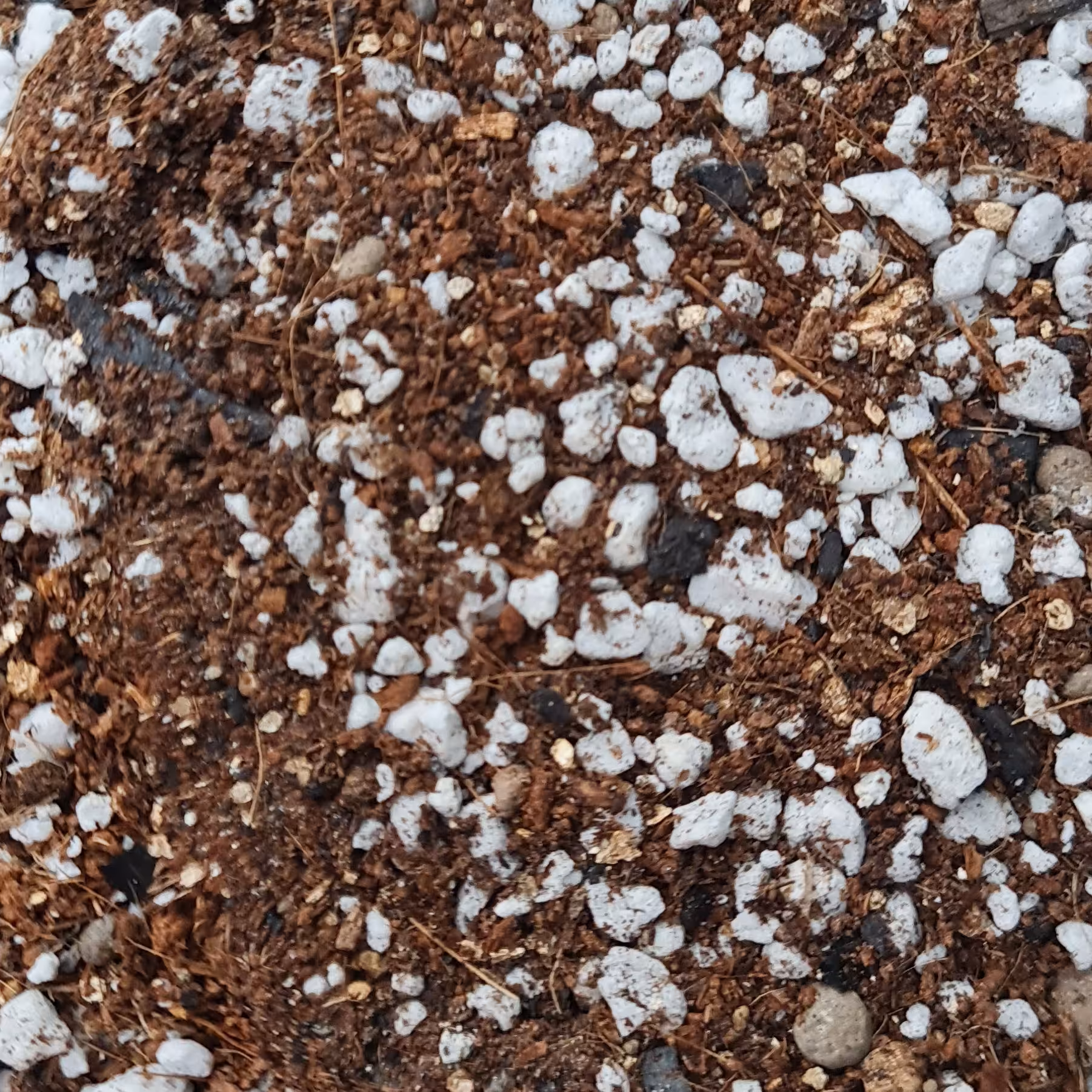 خاک گیاهان آپارتمانی