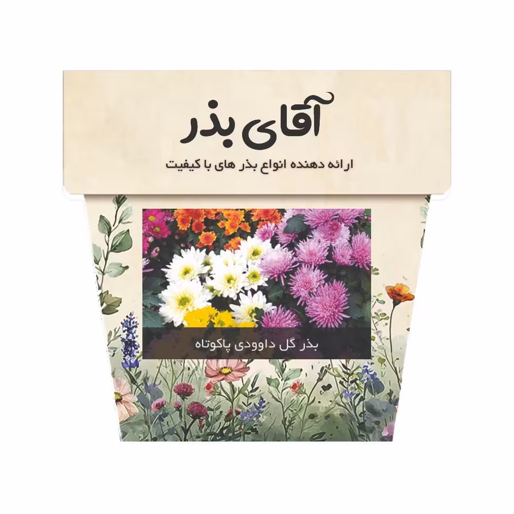 بذر گل داوودی پاکوتاه پرپر الوان آقای بذر - 1500 عدد