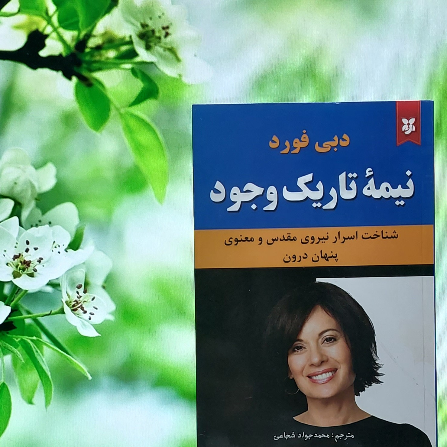 کتاب نیمه تاریک وجود نوشته دبی فورد و ترجمه محمدجواد هاشمی انتشارات نیک فرجام