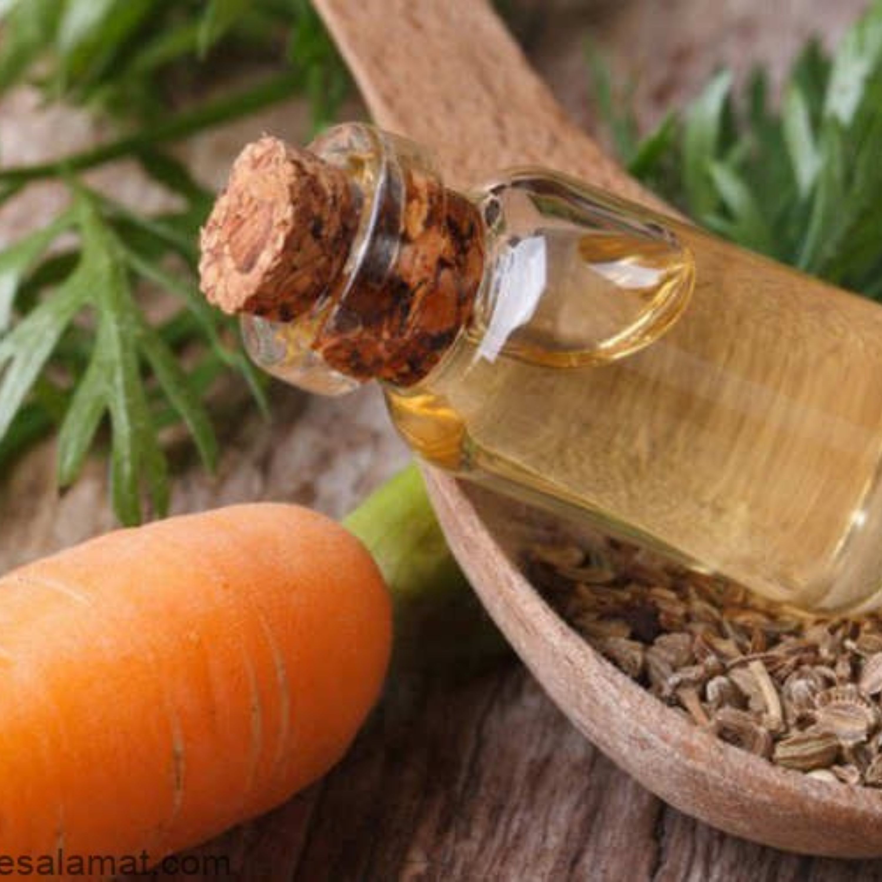 روغن هویج اصل 50 سیسی