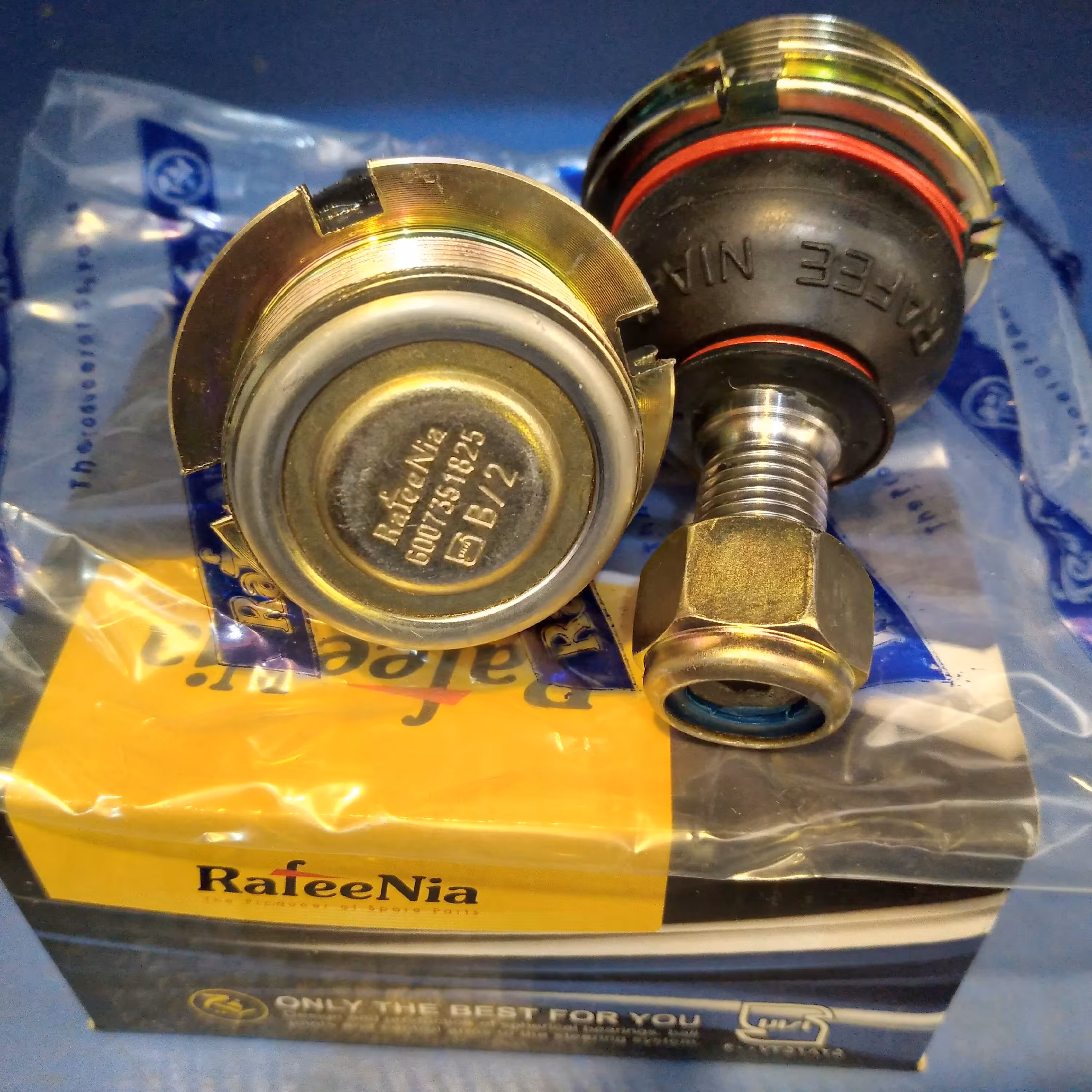 سیبک زیر طبق رفیع نیا