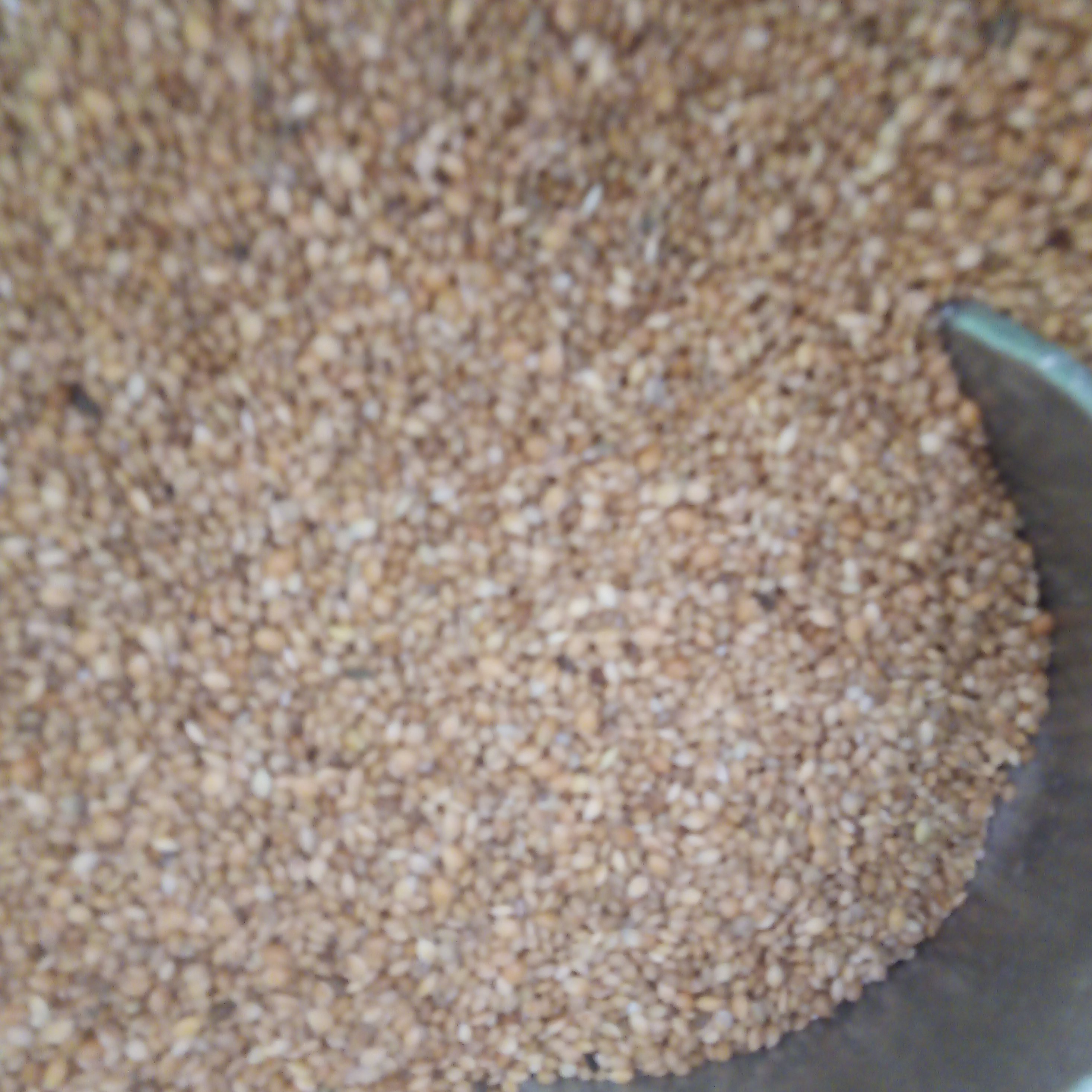 ارزن 1000 گرمی