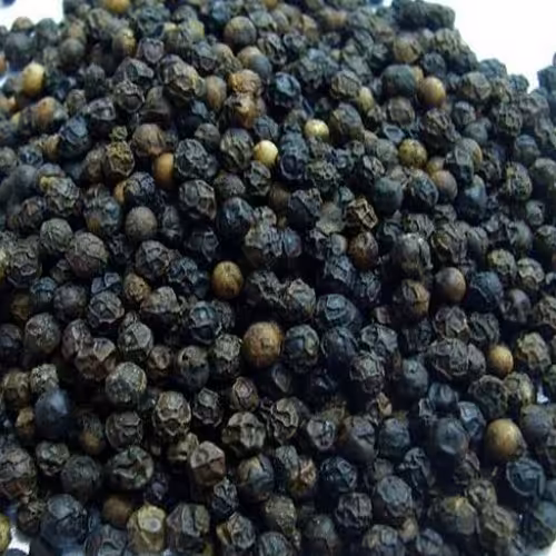 فلفل سیاه قلم