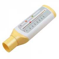 پیک فلومتر رزمکس مدل PF-120C