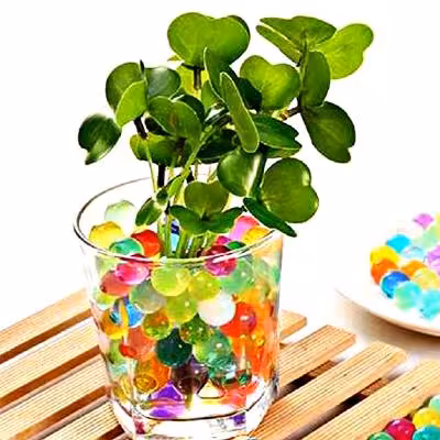 خاک ژله ای رنگی