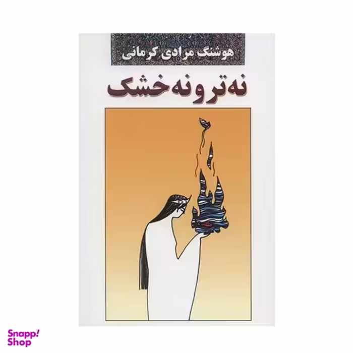 کتاب نه تر و نه خشک اثر هوشنگ مرادی کرمانی انتشارات معین
