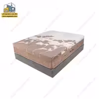 تشک برن مدل اوتلست