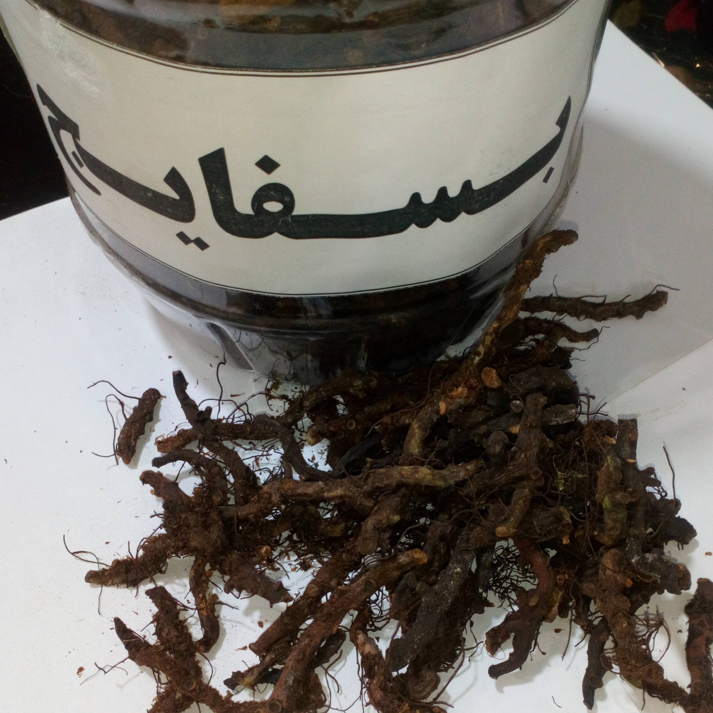 بسفایج ( ریشه بسفایج)