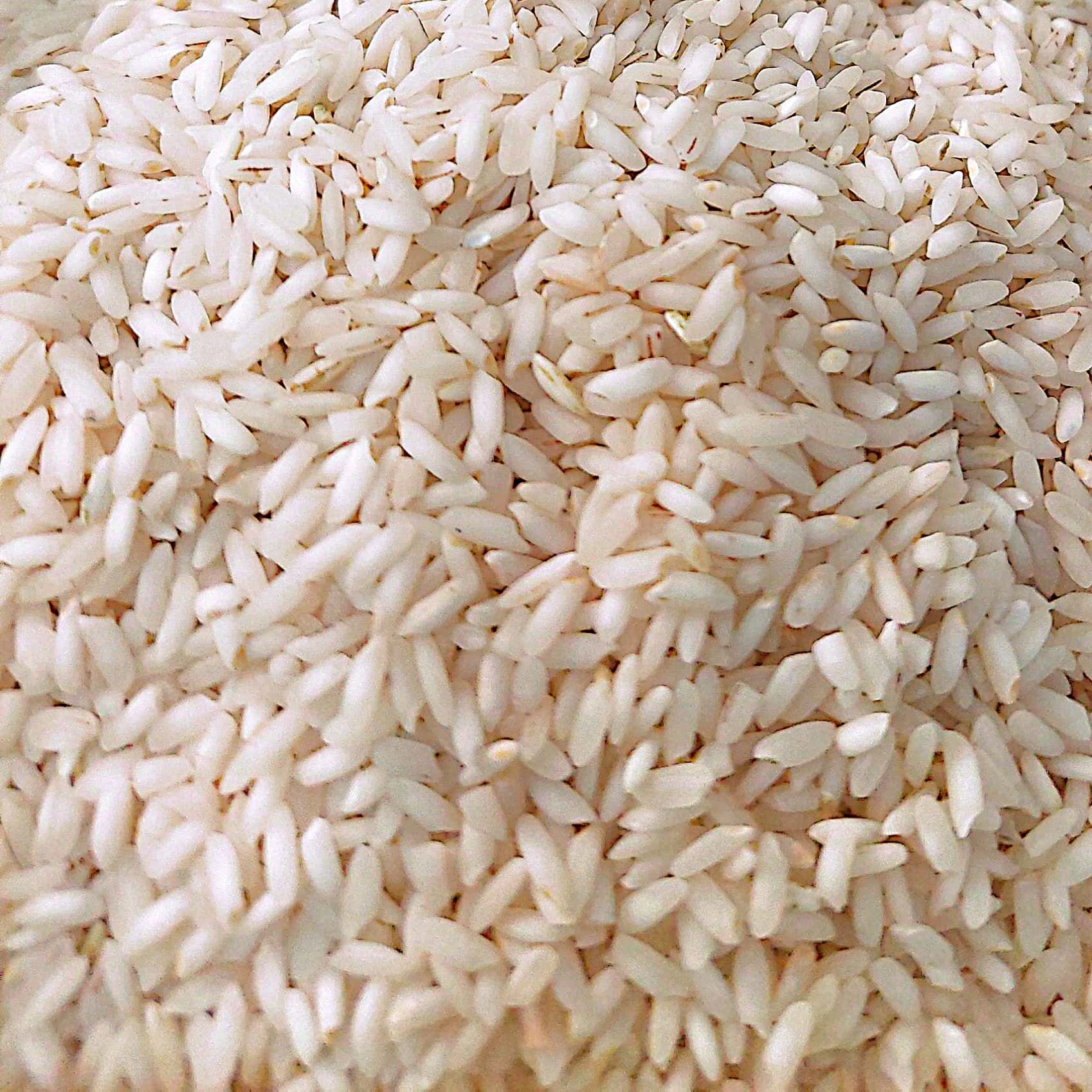 برنج عنبربو اعلاء شوشتر(ارسال رایگان)