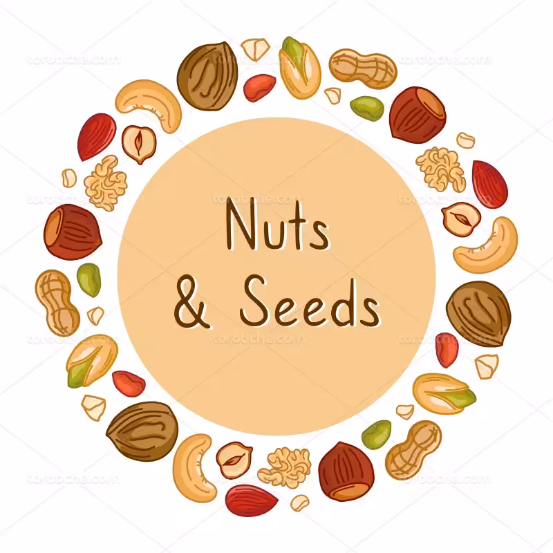 وکتور انواع آجیل | گرافیک با طعم تربچه