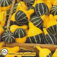 بذر کدو زینتی گلابی دو رنگ (Cucurbita Pepo Pear Bicolour) مولر
