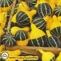 بذر کدو زینتی گلابی دو رنگ (Cucurbita Pepo Pear Bicolour) مولر