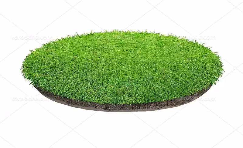 فایل عکس چمن | گرافیک با طعم تربچه