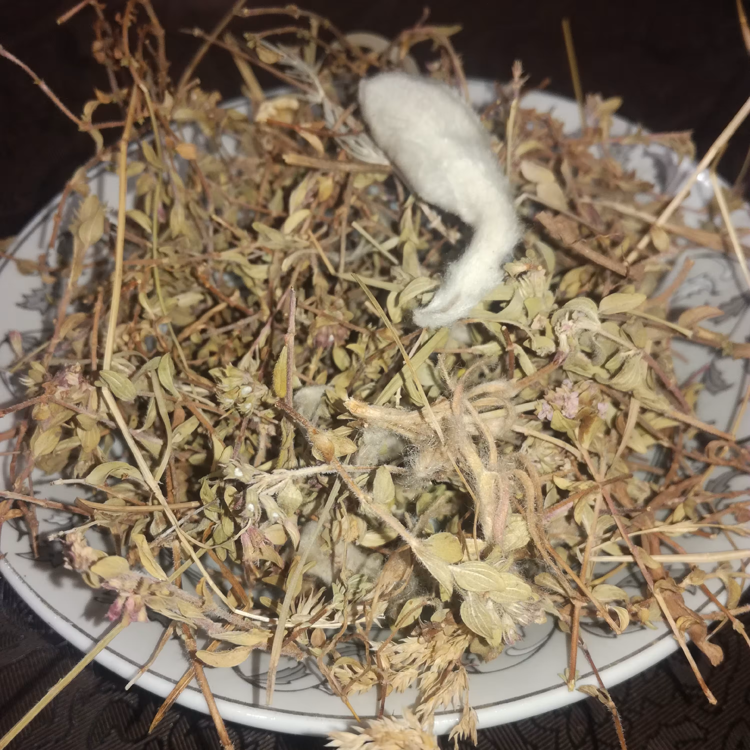 آویشن کوهی منطقه اشکورات (50گرمی)