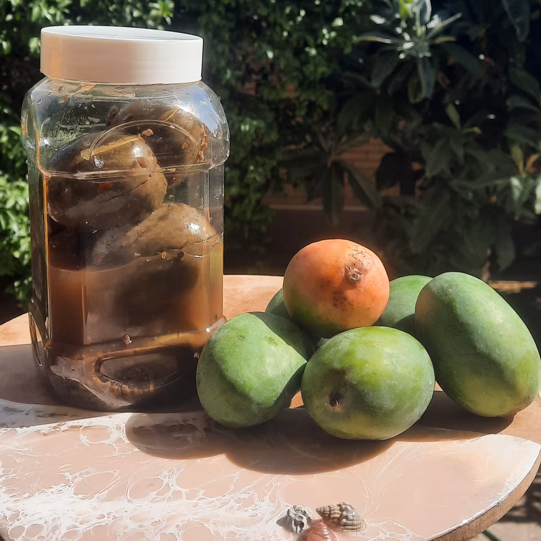 ترشی انبه دانه وزن یک کیلو