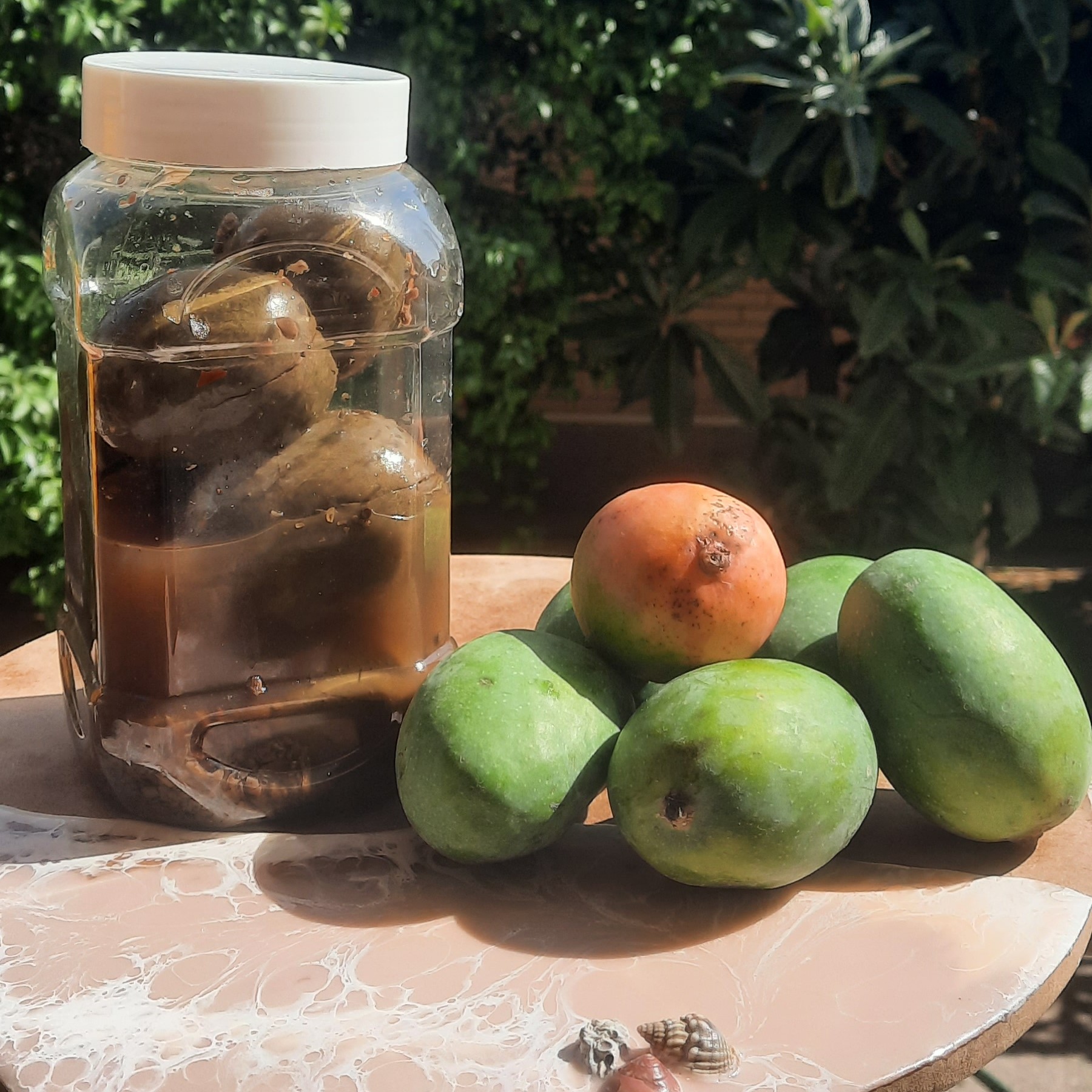 ترشی انبه دانه وزن یک کیلو