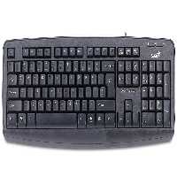 کیبورد جنیوس مدل KB-110X