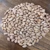 لوبیا چیتی به شرط پخت ----- فروش فقط به صورت عمده حداقل 25کیلو و بالاتر