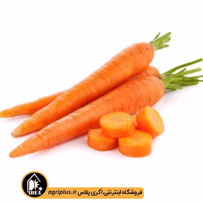 بذر هویج بسته بندی خانگی
