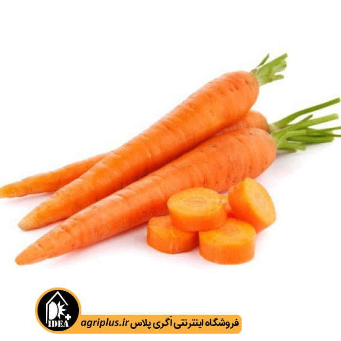 بذر هویج بسته بندی خانگی