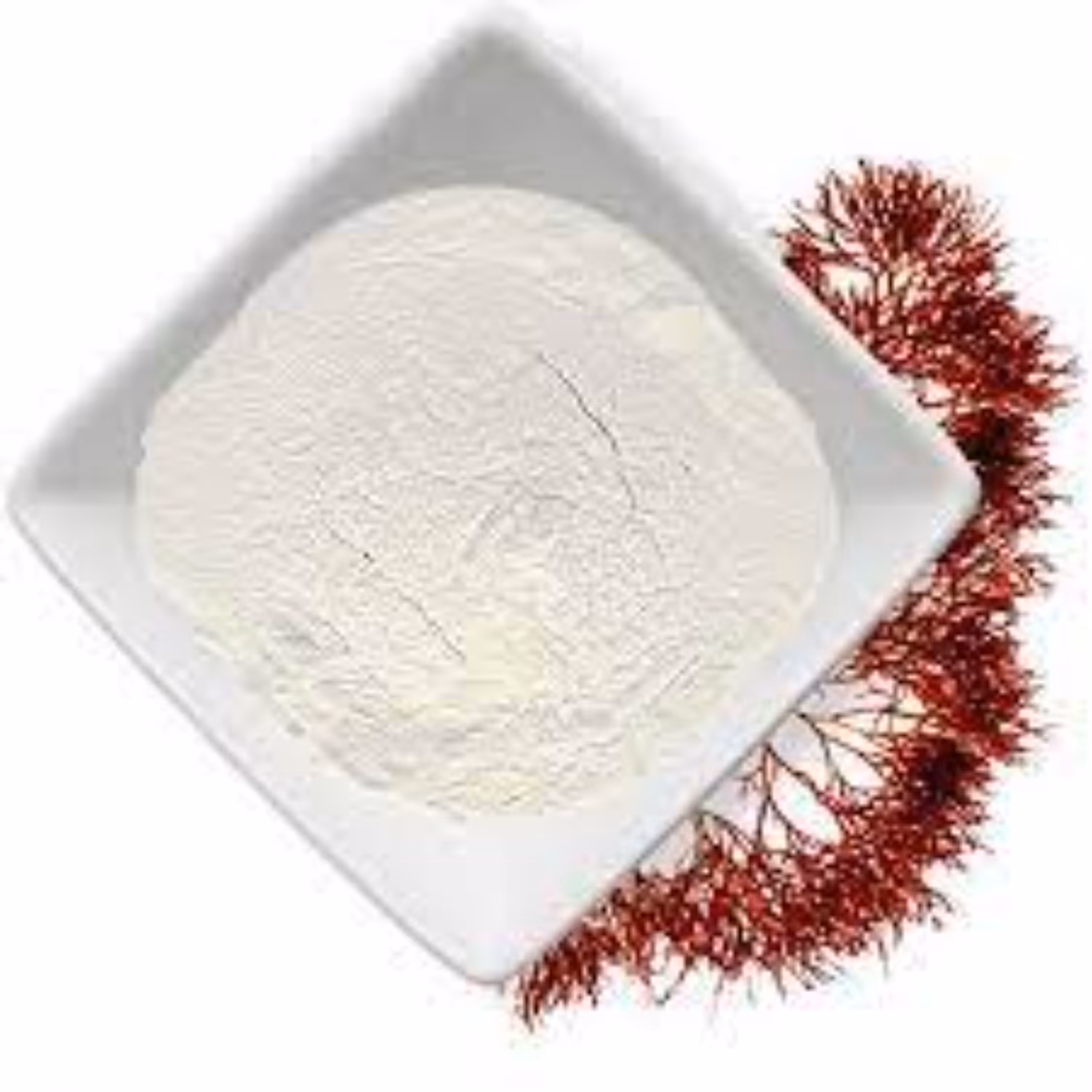 کاراگینان برند عالی در بسته بندی100گرمی