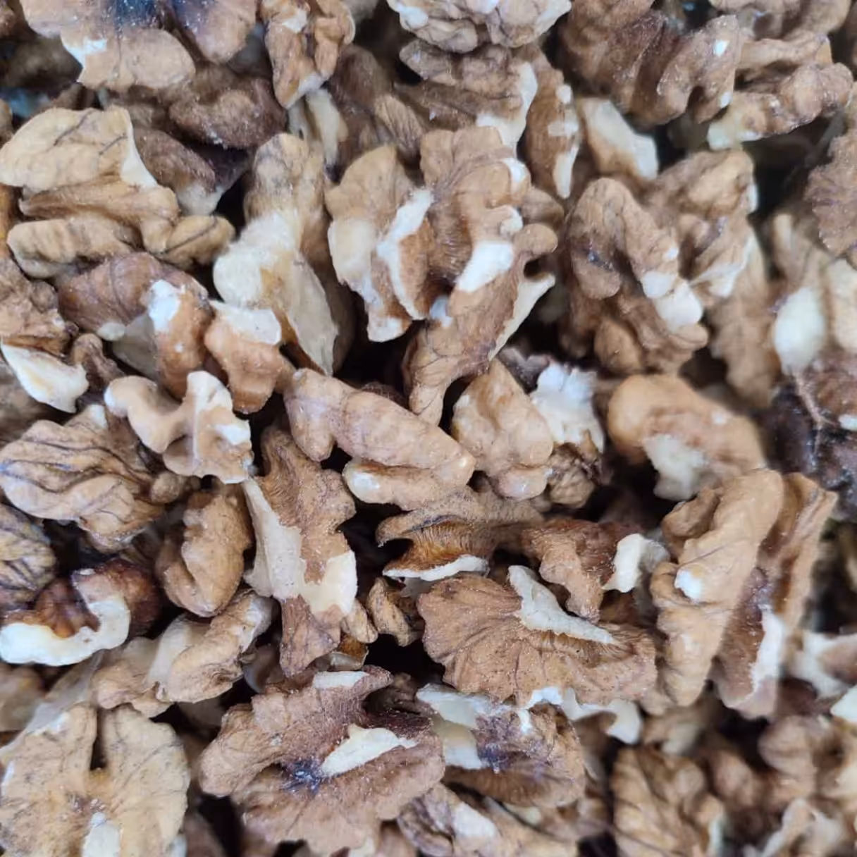 مغزگردو  امساله