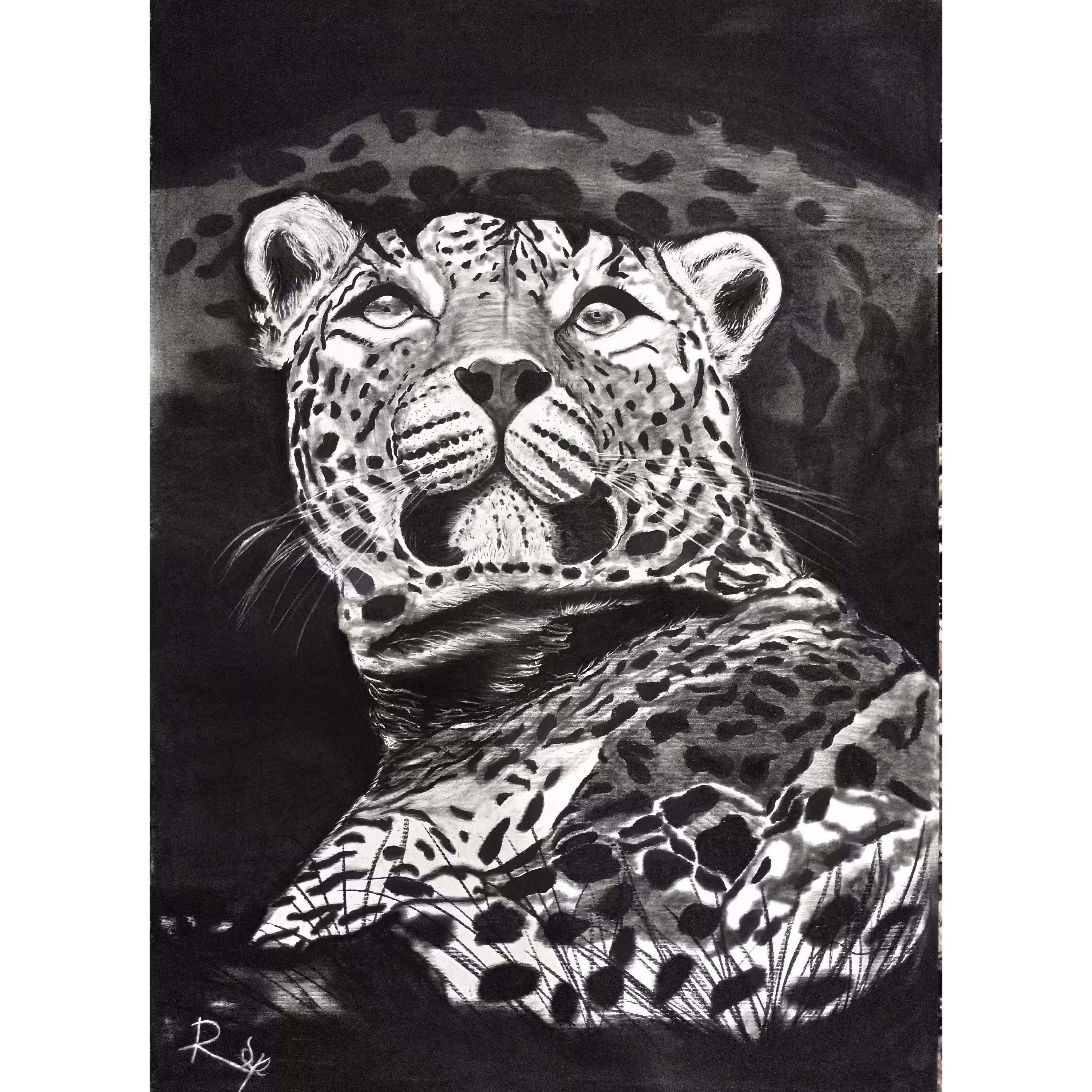 طراحی سیاه قلم