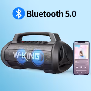 اسپیکر بلوتوث دبلیو کینگ W-King D10 توان 70 وات رم خور و فلش خور