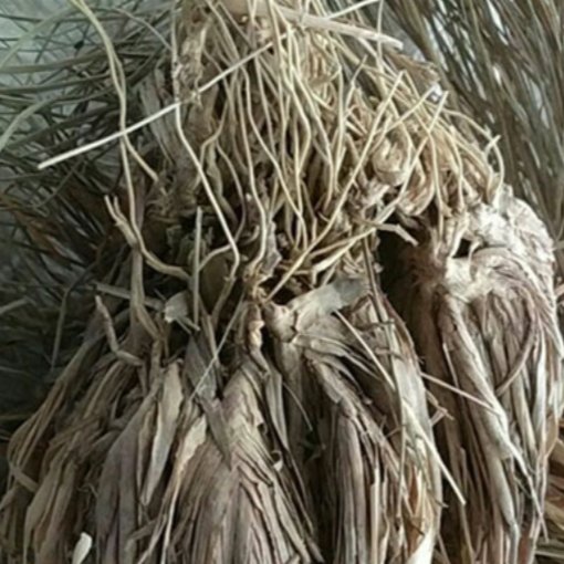 اذخر  50  گرم