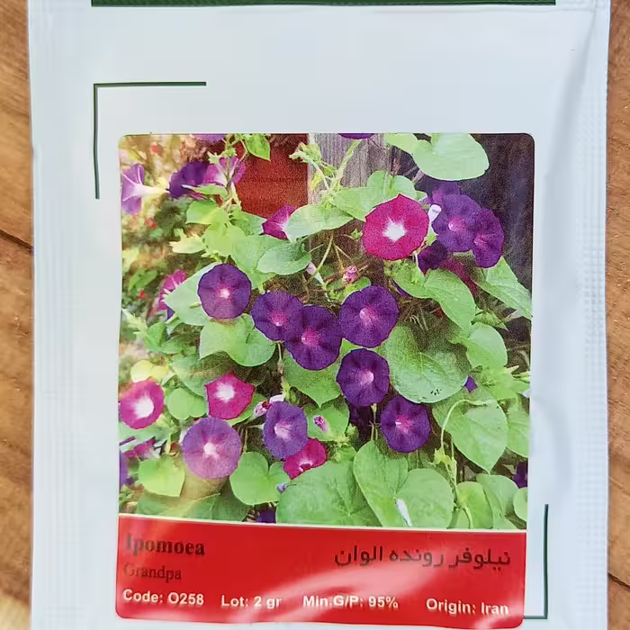 بذر  نیلوفر الوان