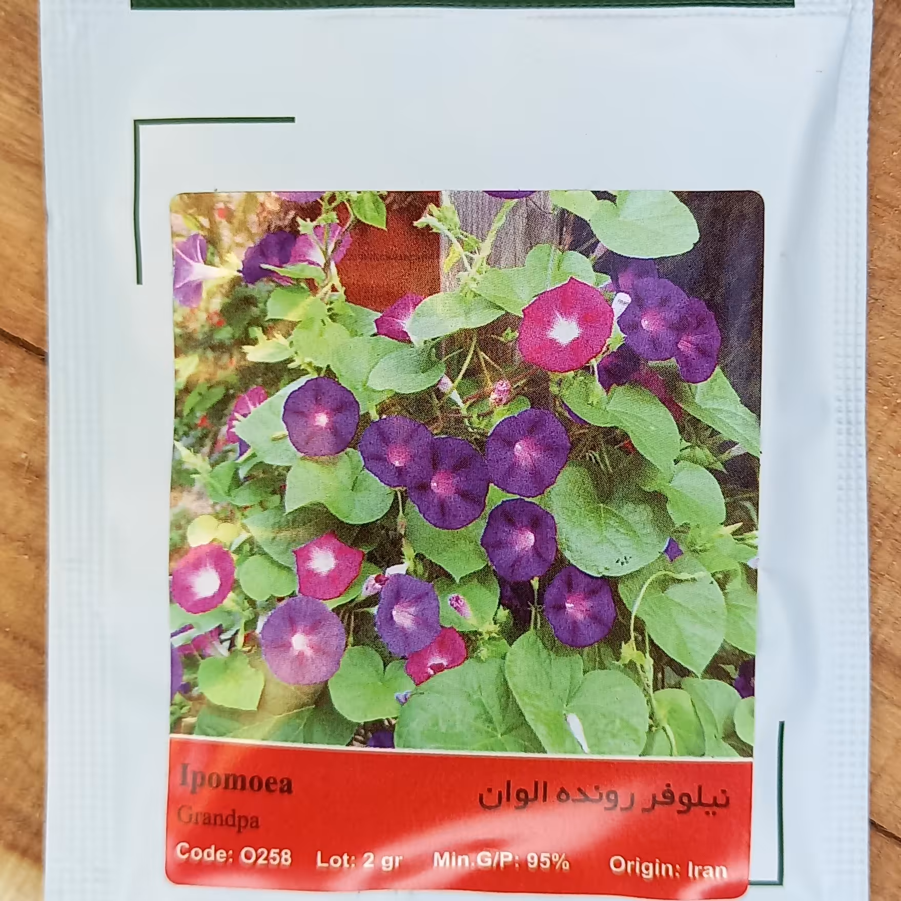 بذر  نیلوفر الوان